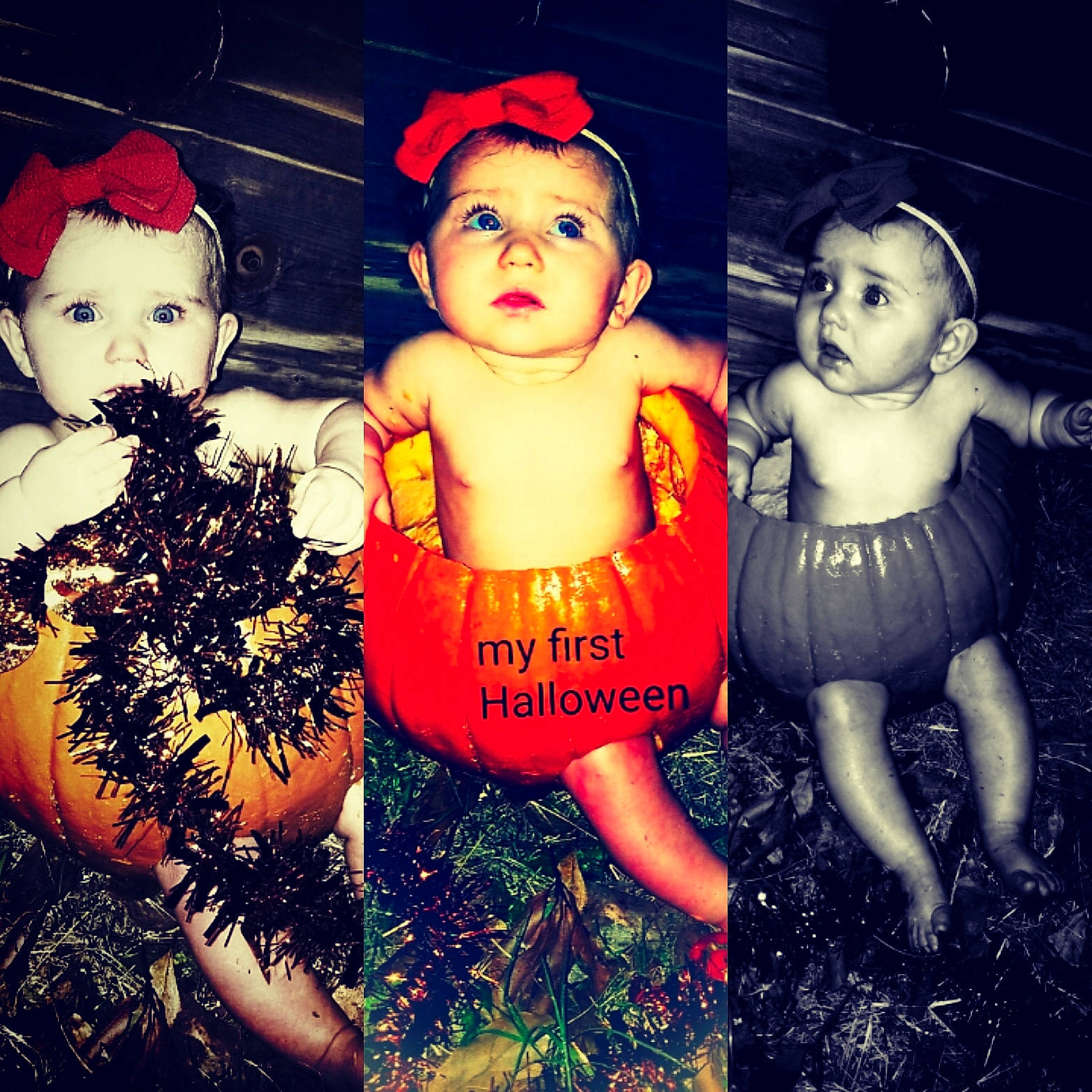 Tinsley joined the competition — help win amazing prizes! baby, child, cool, fictional_character, happy, holiday, love, person, plant, sky, t_shirt, toddler