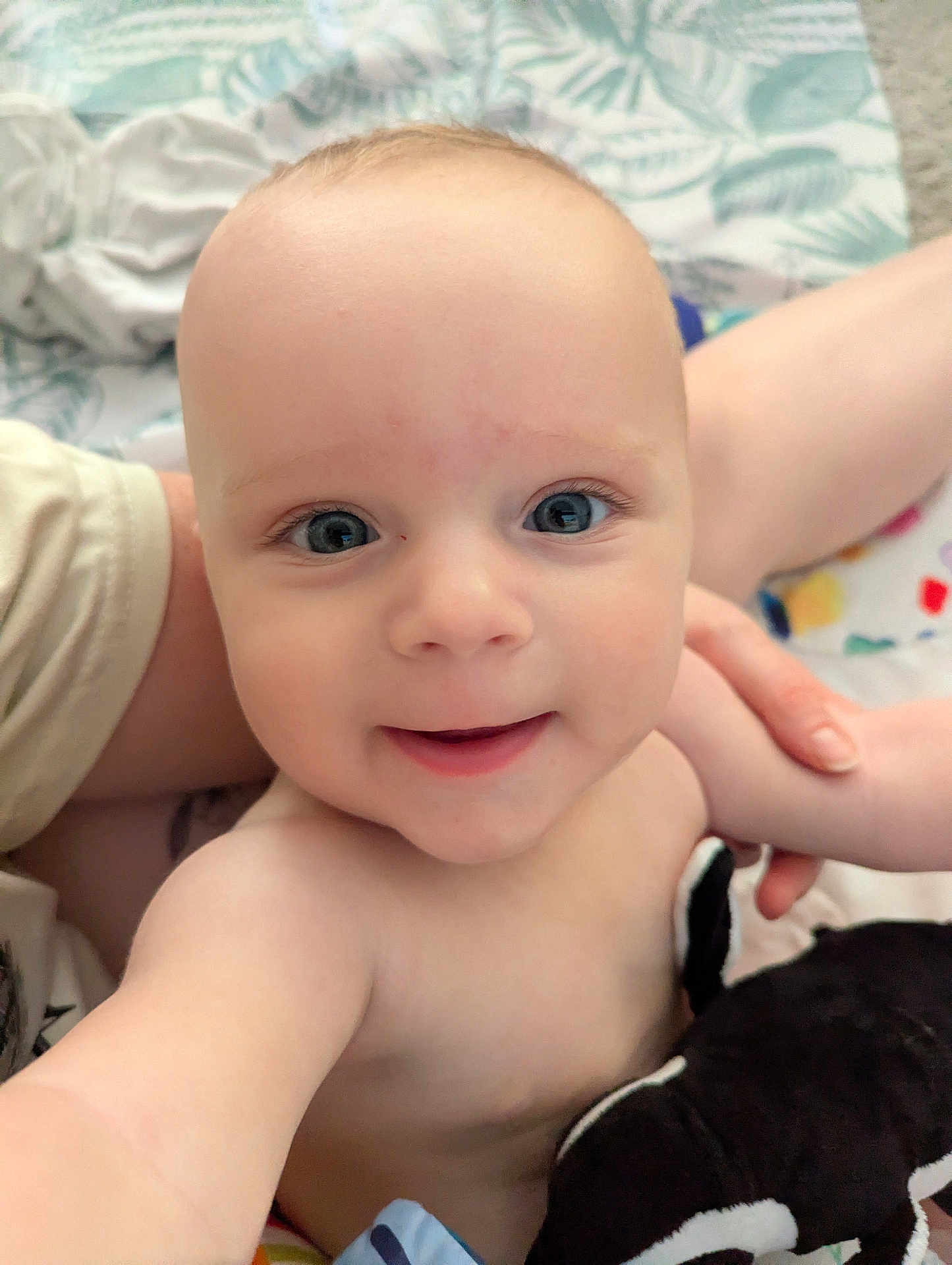 Eren joined the competition — help win amazing prizes! baby, smiling, face, child, infant, closeup, hand, plush_toy, blanket, skin, person, blue_eyes, happy, cute, indoor, soft, young_child, portrait, baby_toys, support