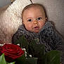Gabriel participe au concours pour gagner de l'argent avec cette photo : baby, bouquet, child, couch, cozy, cute, face, flower, green_leaf, home, indoor, infant, knit_sweater, pillow, portrait, rose, smiling, soft_texture, warm, young_child