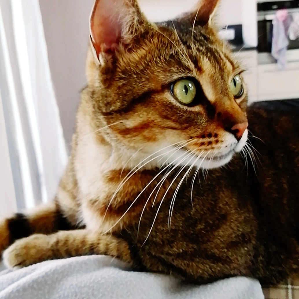 Léo