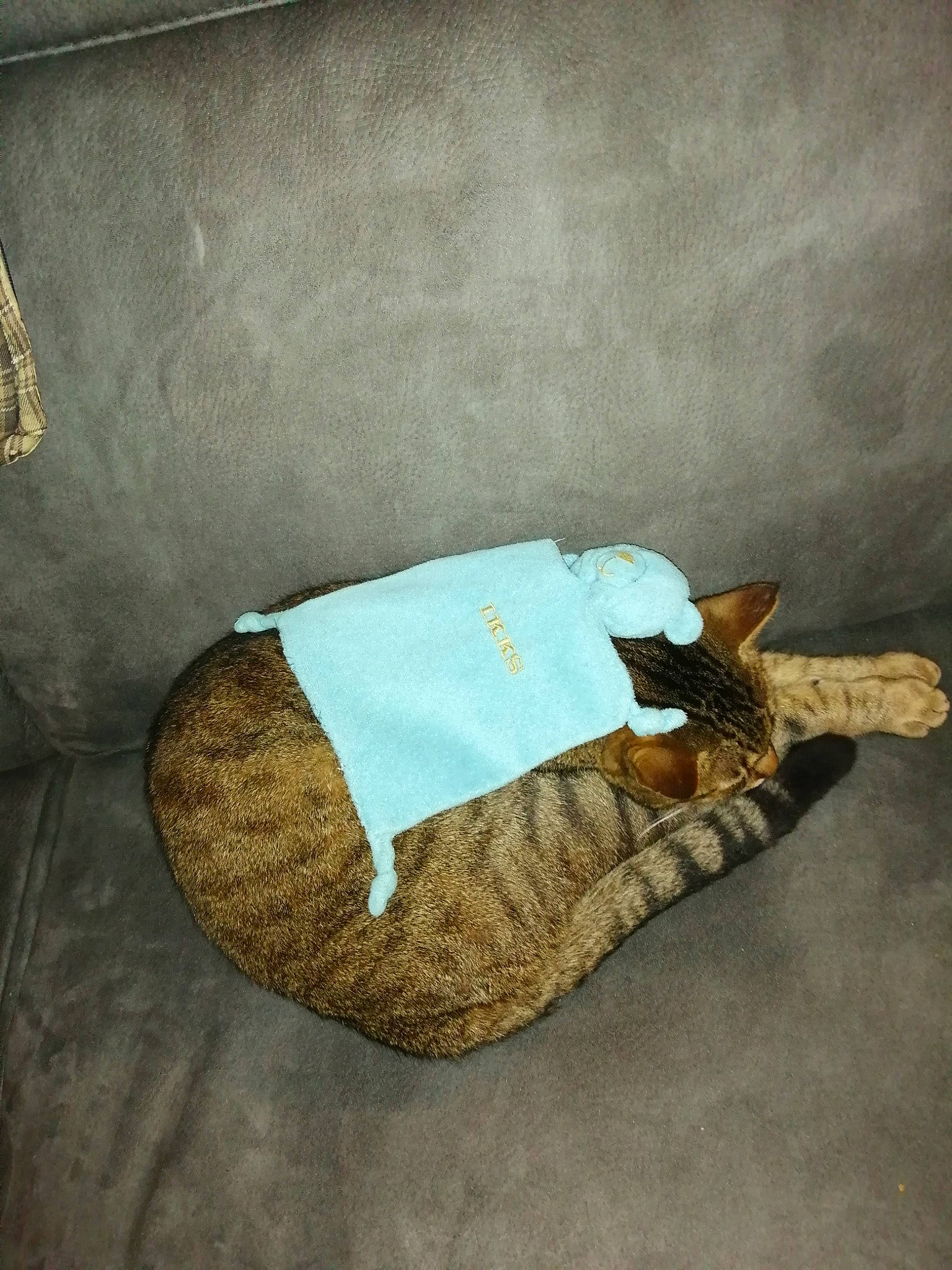 Léo a rejoint le concours — aidez-le/la à gagner de superbes lots ! wood