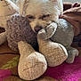 Luna is registered to the contest to win money with this photo: dog, white_dog, stuffed_toy, plush, sleeping, cozy, blanket, indoor, pet, cute, fur, closeup, resting, soft_toys, animal, companionship, comfort, relaxation, home, snuggle