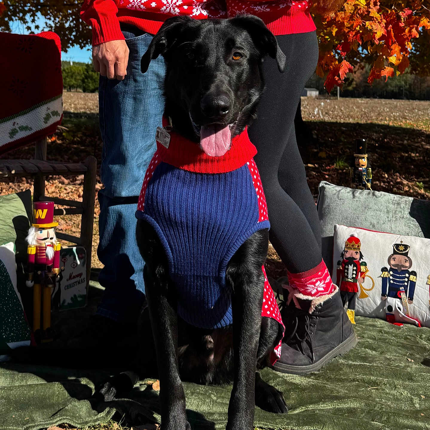 Rambo