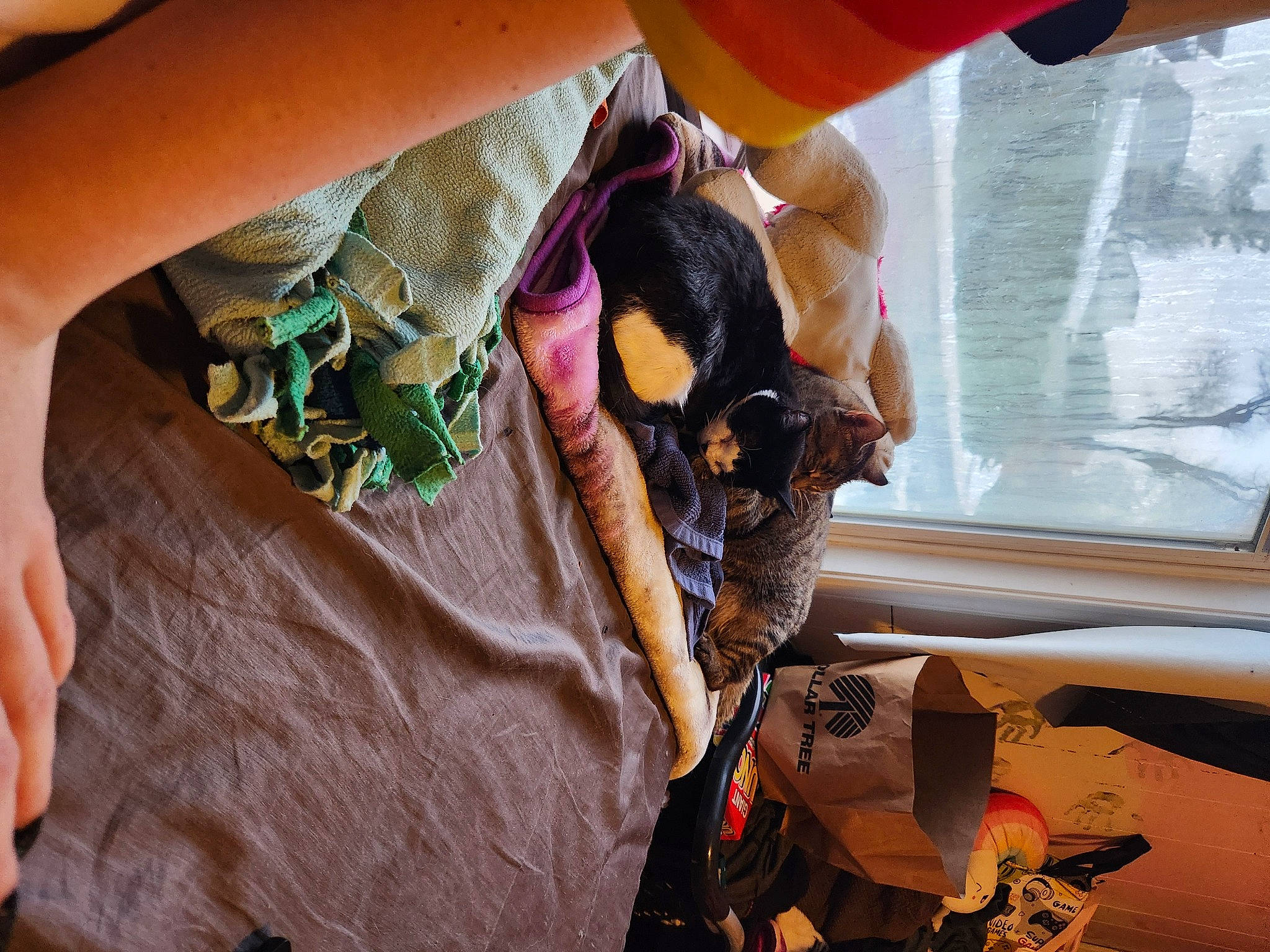 Gabbie is registered to the contest to win money with this photo: bag, fashion_accessory, fashion_design, finger, fur, human_leg, jewellery, linens, luggage_and_bags, magenta, nail, pattern, room, sleeve, thigh, visual_arts, waist, window, windshield, wrist