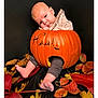 baby, pumpkin, autumn_leaves, fall, cute, infant, orange, black_background, seasonal, child, portrait, legs, feet, cozy, cute_expression, decor, holiday, nature, sitting, costume