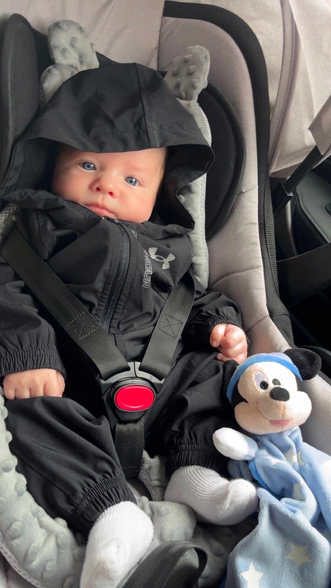 Layan participe au concours pour gagner de l'argent avec cette photo : baby, infant, car_seat, black_jacket, hood, blue_eyes, straps, safety, plush_toy, mickey_mouse, stuffed_animal, white_socks, cute, child, indoors, seatbelt, soft_toy, comfort, car_interior, portrait