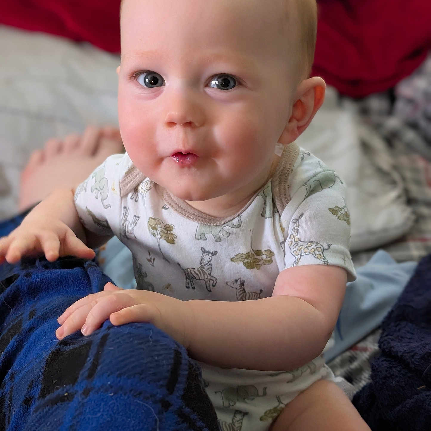 Hudson is registered to the contest to win money with this photo: baby, child, infant, onesie, animal_print, blanket, blue_blanket, hand, face, eyes, skin, red_background, bed, comfort, cute, expression, indoor, person, portrait, soft_lighting