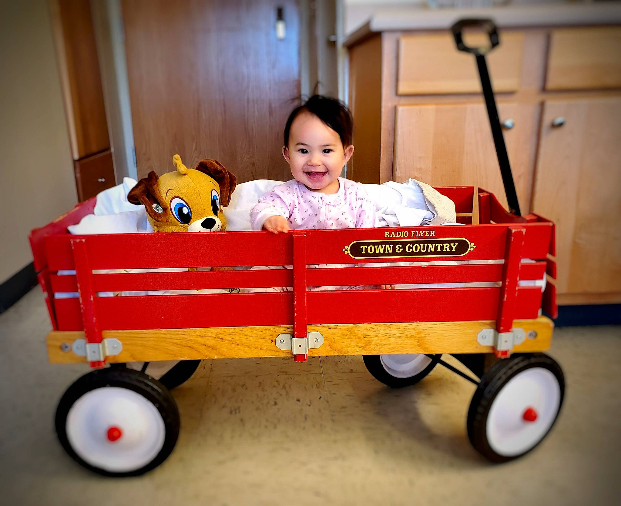 Rowyn is registered to the contest to win money with this photo: baby_toys, cart, joy, person, product, riding_toy, toy, vehicle, wagon