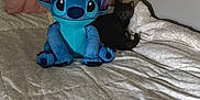 Sadie is registered to the contest to win money with this photo: bed, bedroom, blue, cat, cozy, comfort, dark, feline, indoor, light, plush_toy, pillow, quiet, resting, soft, stuffed_animal, toy, white, wall, yellow_light