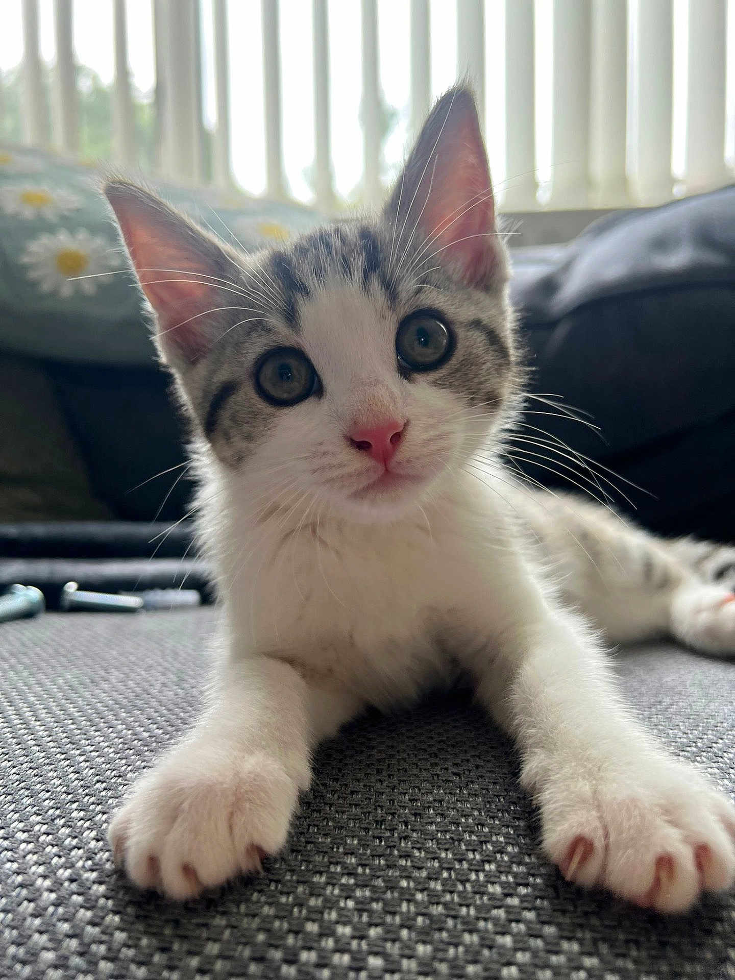 Albert