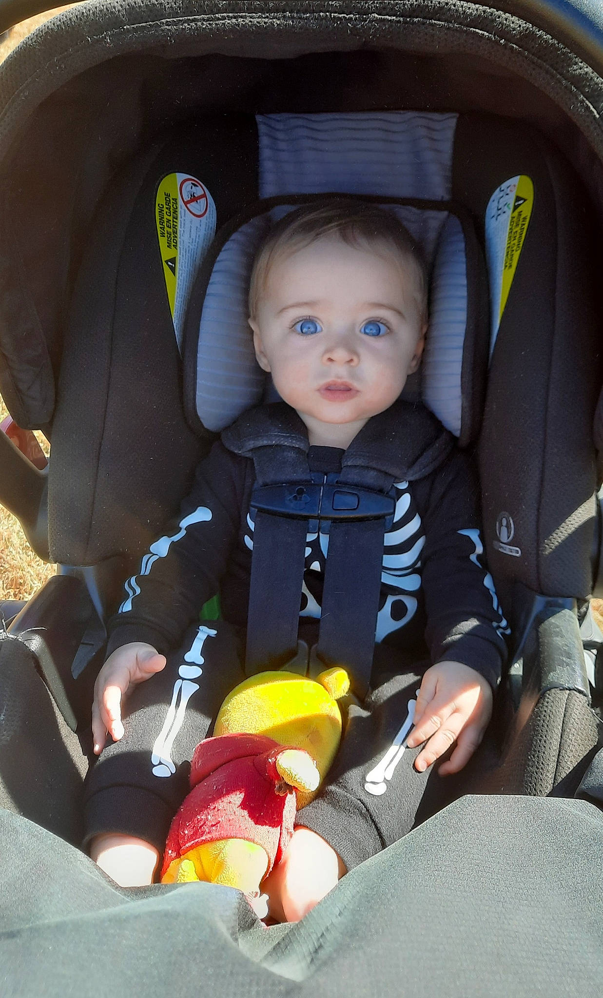 Briggs is registered to the contest to win money with this photo: auto_part, automotive_design, baby, baby_carriage, baby_products, car, car_seat, car_seat_cover, comfort, family_car, head_restraint, motor_vehicle, person, personal_luxury_car, seat_belt, smile, steering_wheel, toddler, vehicle_door, wheel