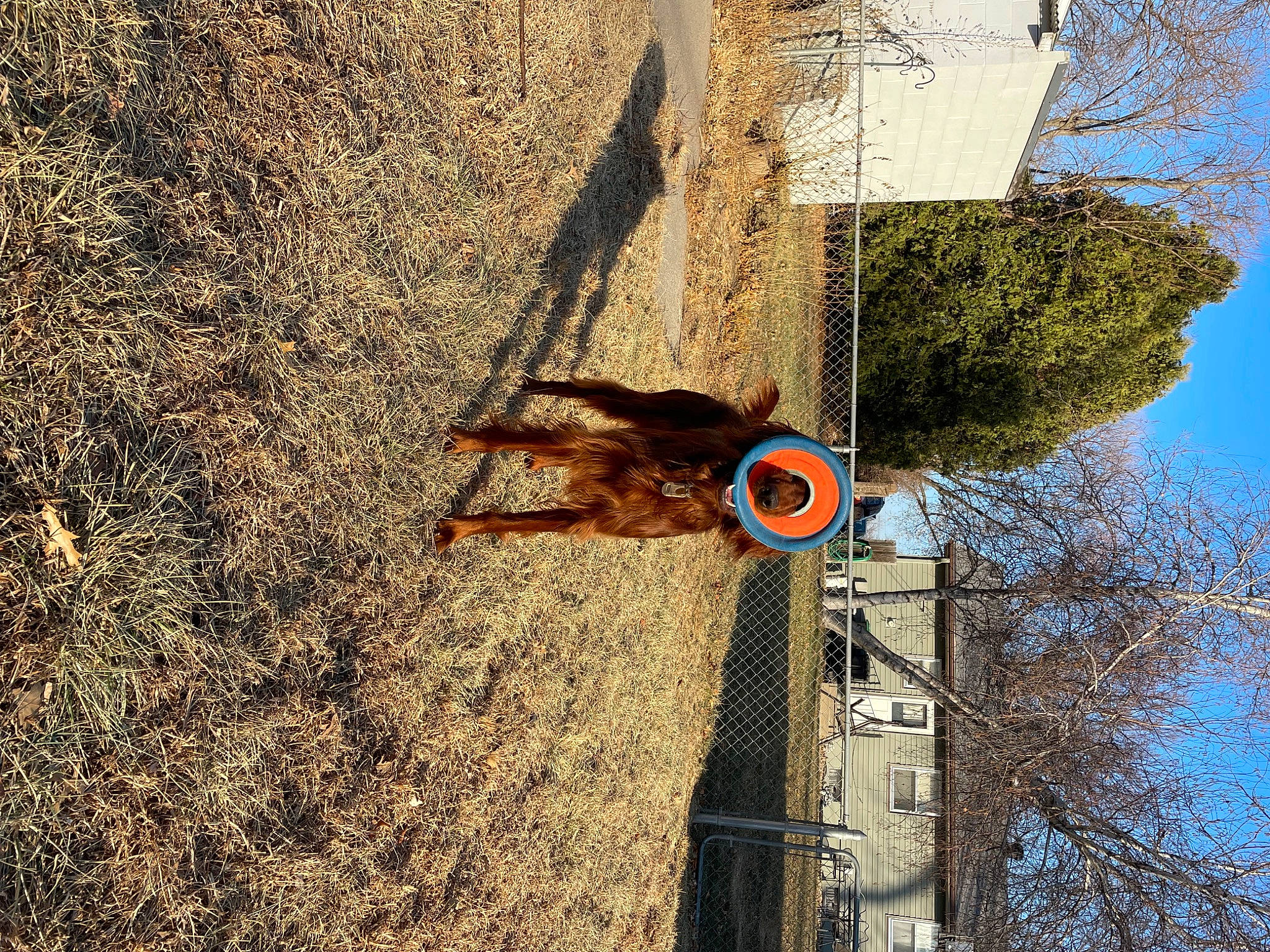 Finnley is registered to the contest to win money with this photo: adventure, asphalt, electrical_supply, electricity, facade, landscape, plant, pole, public_utility, reflection, road, shadow, sky, soil, street_light, tree, trunk, twig, wall, wood