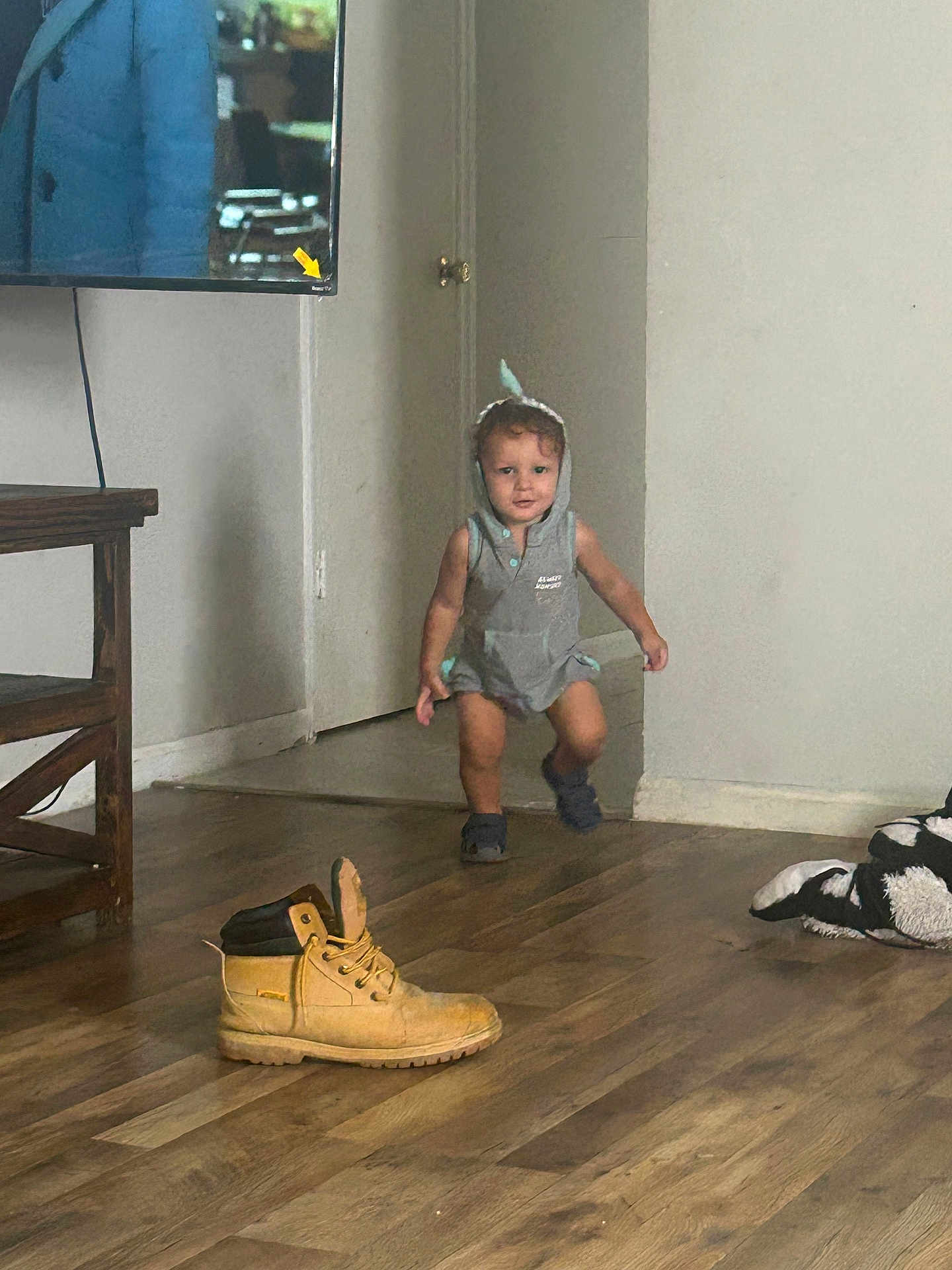 Giovanni joined the competition — help win amazing prizes! toddler, child, indoor, wooden_floor, boot, shoe, plush_toy, orca, hoodie, walking, person, living_room, door, wall, floor, furniture, casual_clothing, cute, small_child, home