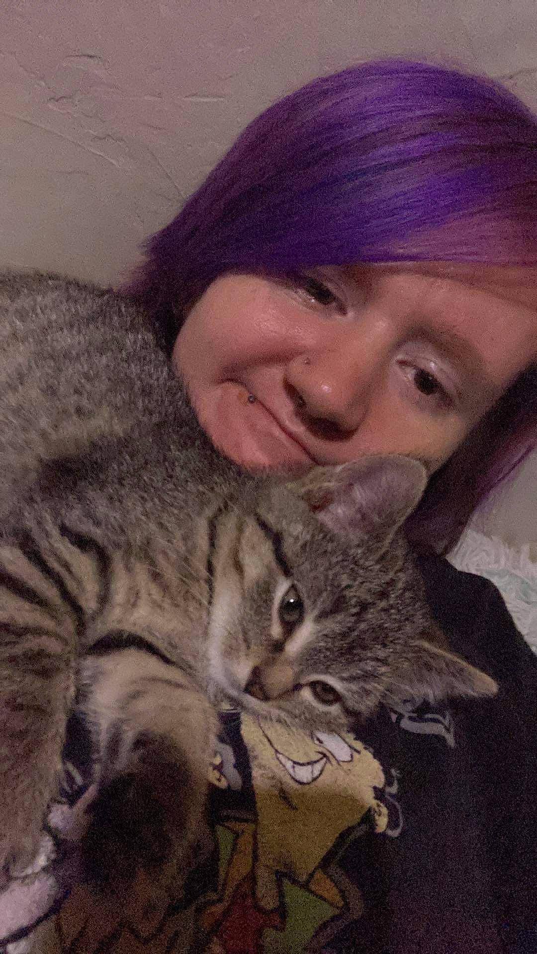 Basti is registered to the contest to win money with this photo: beanie, cap, carnivore, cat, comfort, domestic_short_haired_cat, ear, eye, felidae, fur, hug, iris, knit_cap, nose, paw, sitting, small_to_medium_sized_cats, smile, snout, whiskers