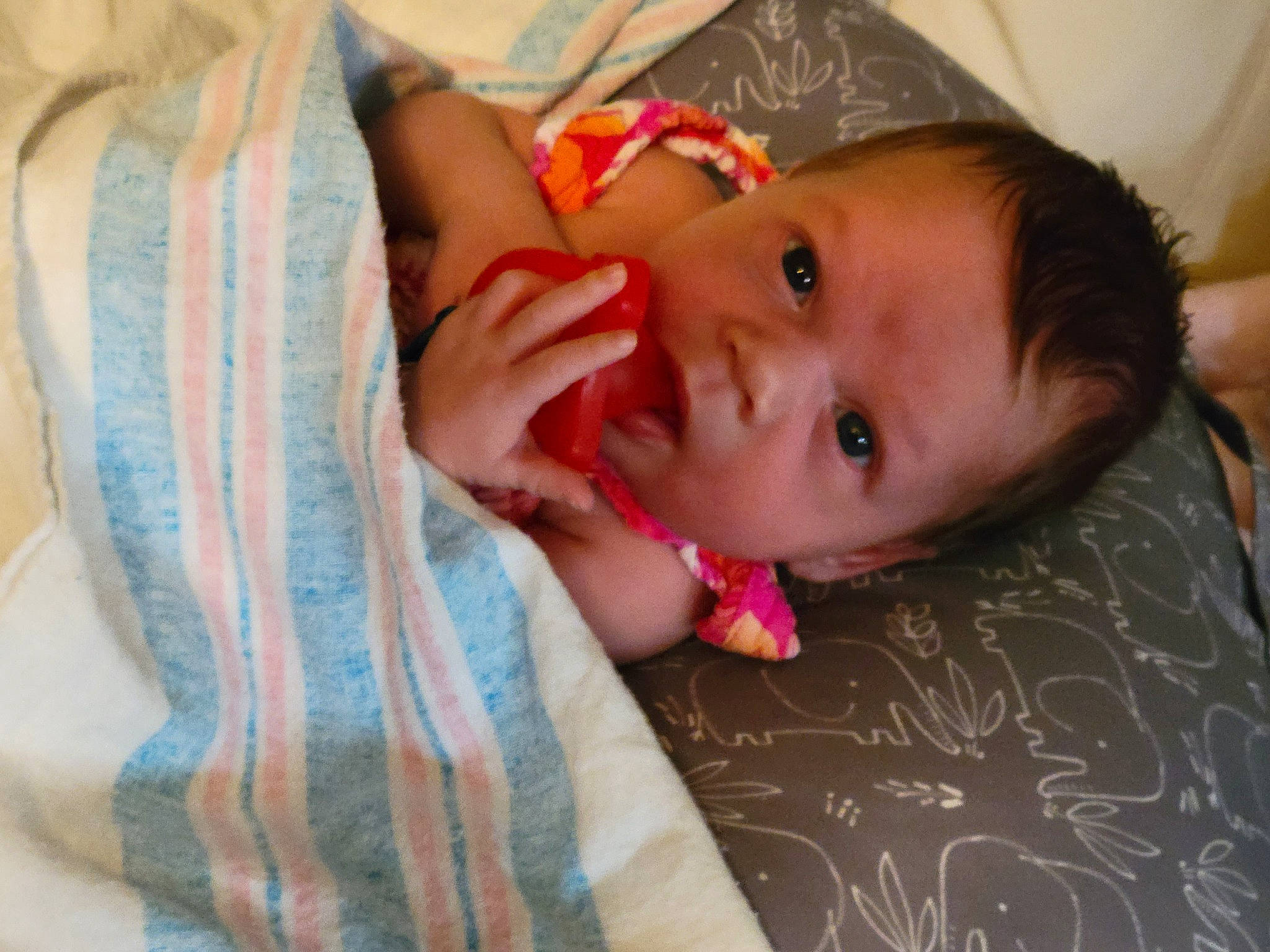 Kira is registered to the contest to win money with this photo: baby, baby_toddler_clothing, cheek, child, comfort, eyebrow, eyelash, flooring, happy, iris, linens, lip, mouth, neck, nose, pattern, person, room, skin, textile