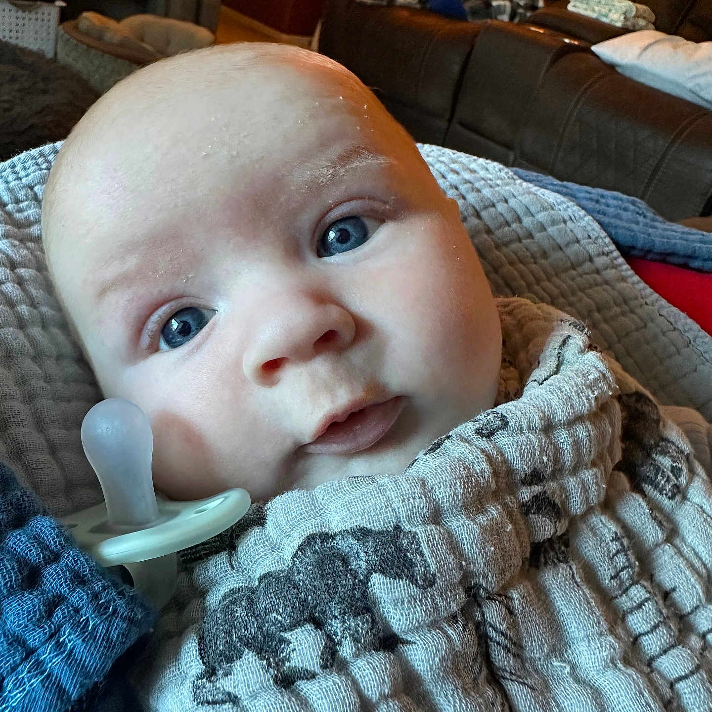 Rune is registered to the contest to win money with this photo: baby, infant, pacifier, blue_eyes, blanket, cloth, face, close_up, indoor, living_room, couch, clock, person, cute, expression, newborn, wrapped, soft_lighting, child, portrait