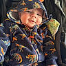 baby, blanket, casual_wear, child, clothing, cozy, cute, dinosaur_pattern, happy, hood, hoodie, indoor, infant, jacket, person, portrait, seated, smile, stroller, young_child