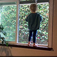 Howard is registered to the contest to win money with this photo: back_view, barefoot, caution, child, curiosity, daylight, floor, greenery, home_interior, indoor, ledge, natural_light, pants, plant, reflection, standing, sweatshirt, text_overlay, wall, window