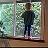 child, window, standing, back_view, barefoot, indoor, plant, greenery, sweatshirt, pants, curiosity, ledge, home_interior, natural_light, wall, floor, caution, reflection, daylight, text_overlay