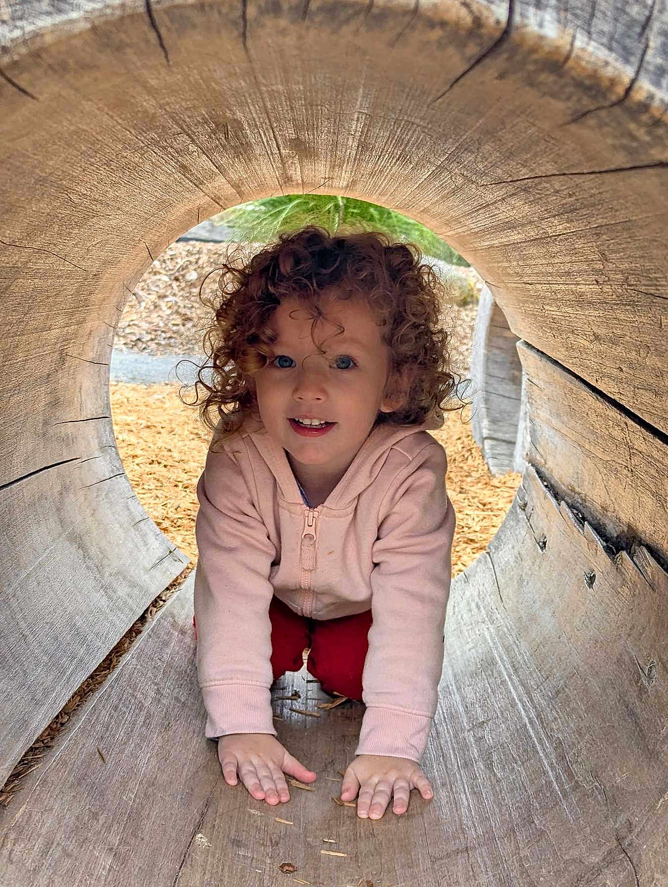 Taryn is registered to the contest to win money with this photo: child, curly_hair, blue_eyes, pink_hoodie, red_pants, wooden_tunnel, outdoor, playground, crawling, smiling, face, hands, nature, wood, circular_frame, daylight, happy, curious, kid, portrait