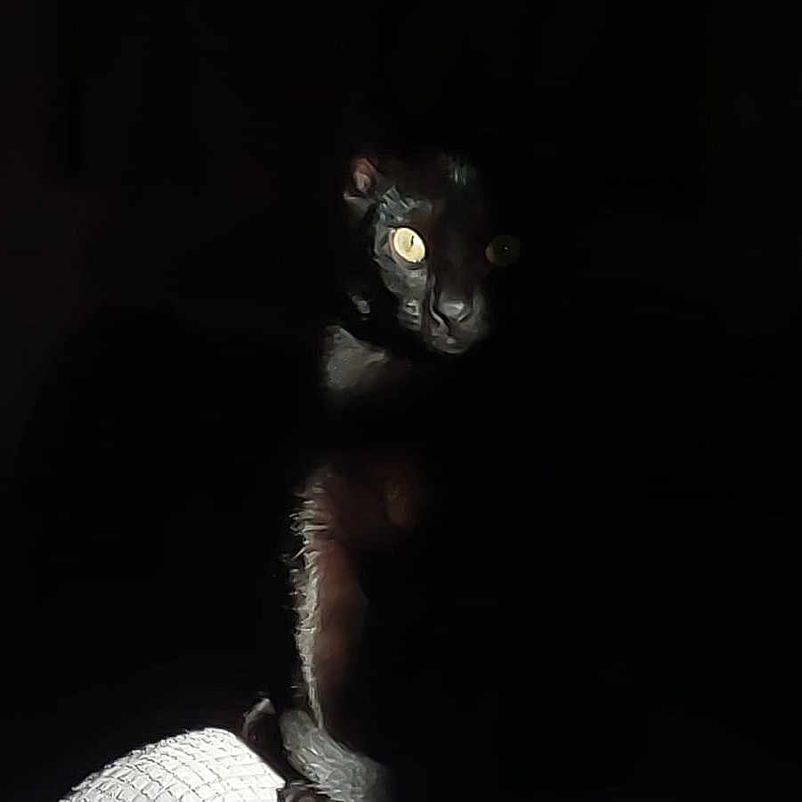 Toundra