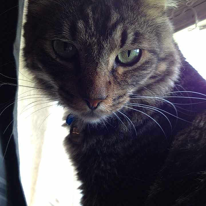 Max
