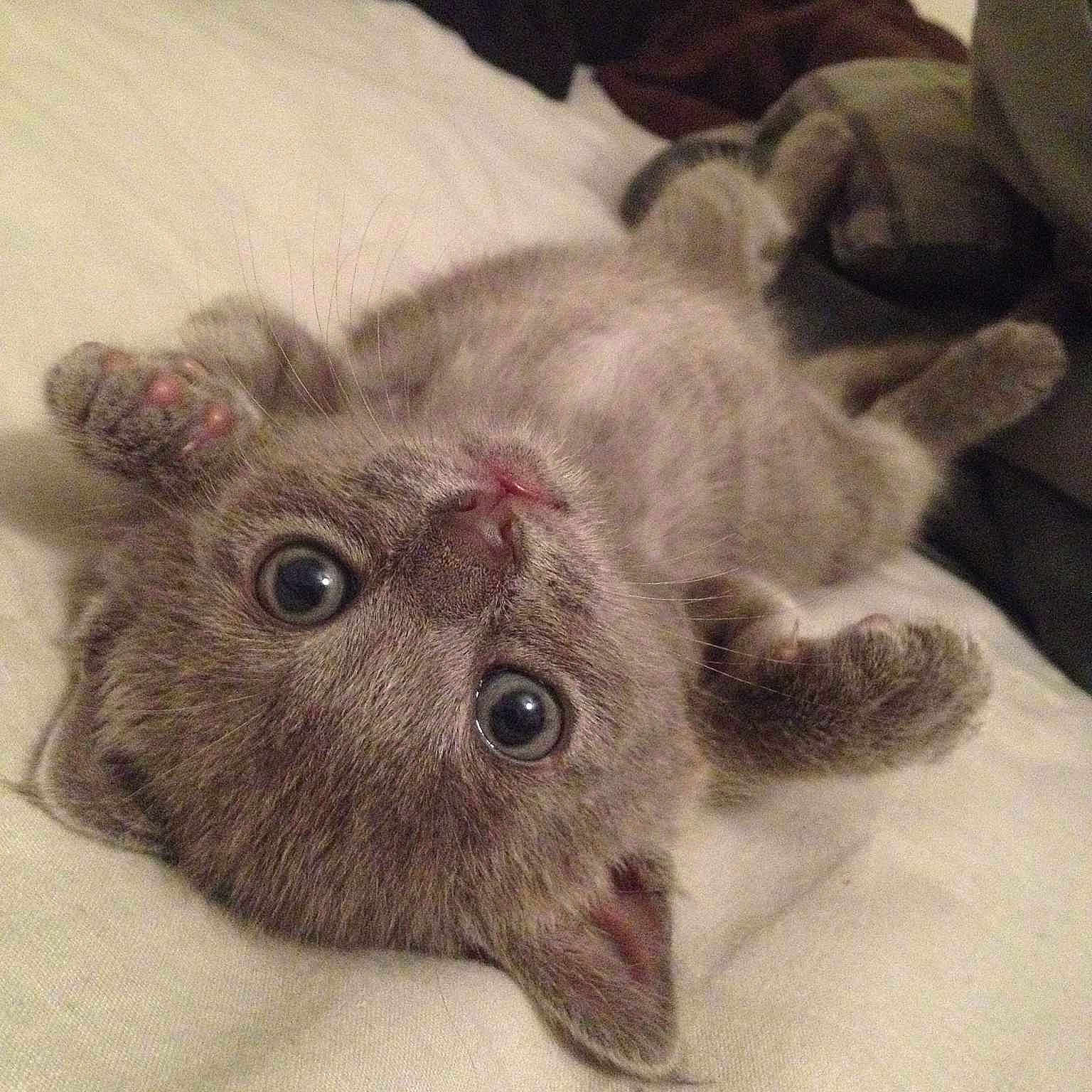 Rumor is registered to the contest to win money with this photo: