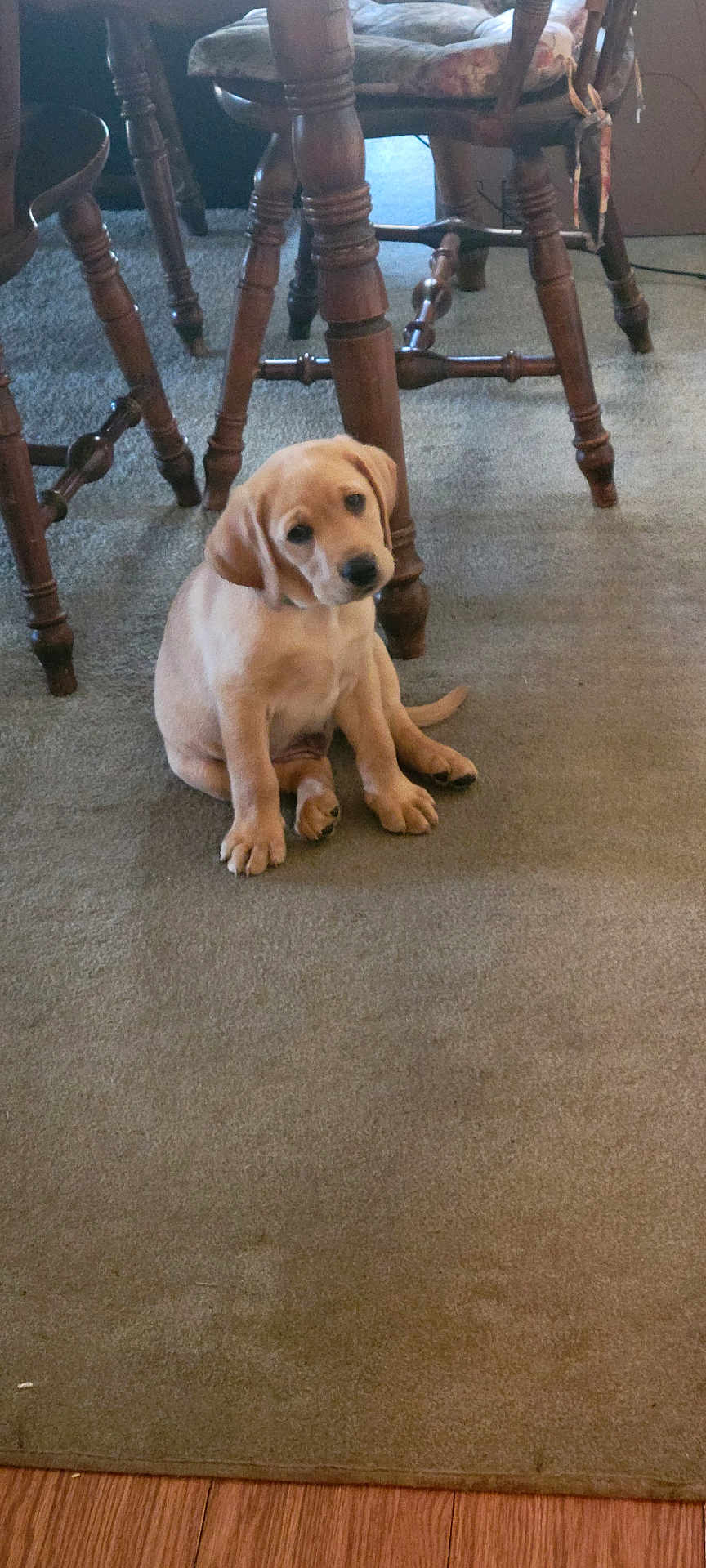Parker