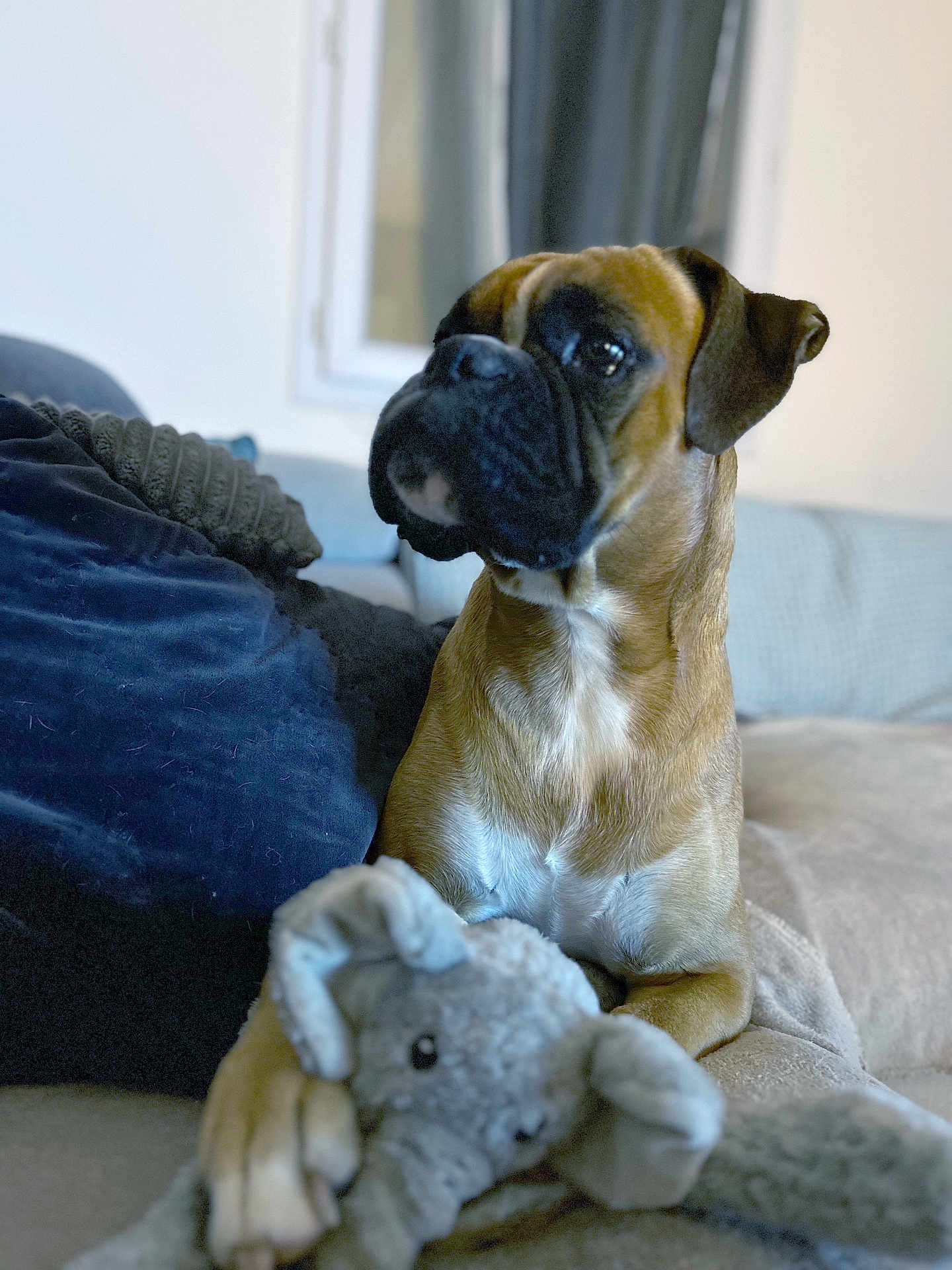 Ted