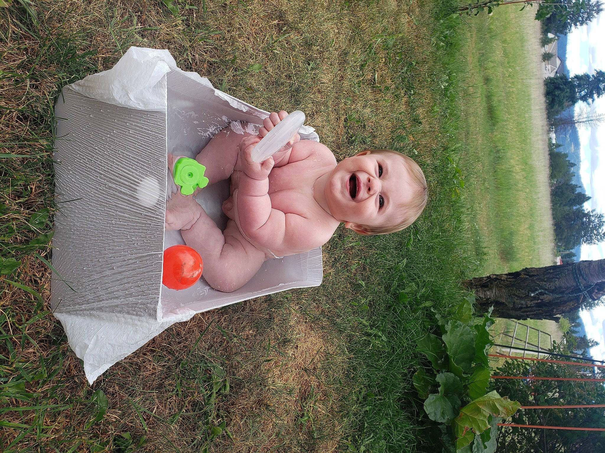 Hazen is registered to the contest to win money with this photo: art, baby, baby_products, baby_toddler_clothing, child, garden, grass, happy, lawn_ornament, leisure, people_in_nature, person, petal, plant, recreation, sky, smile, toddler, toy, tree