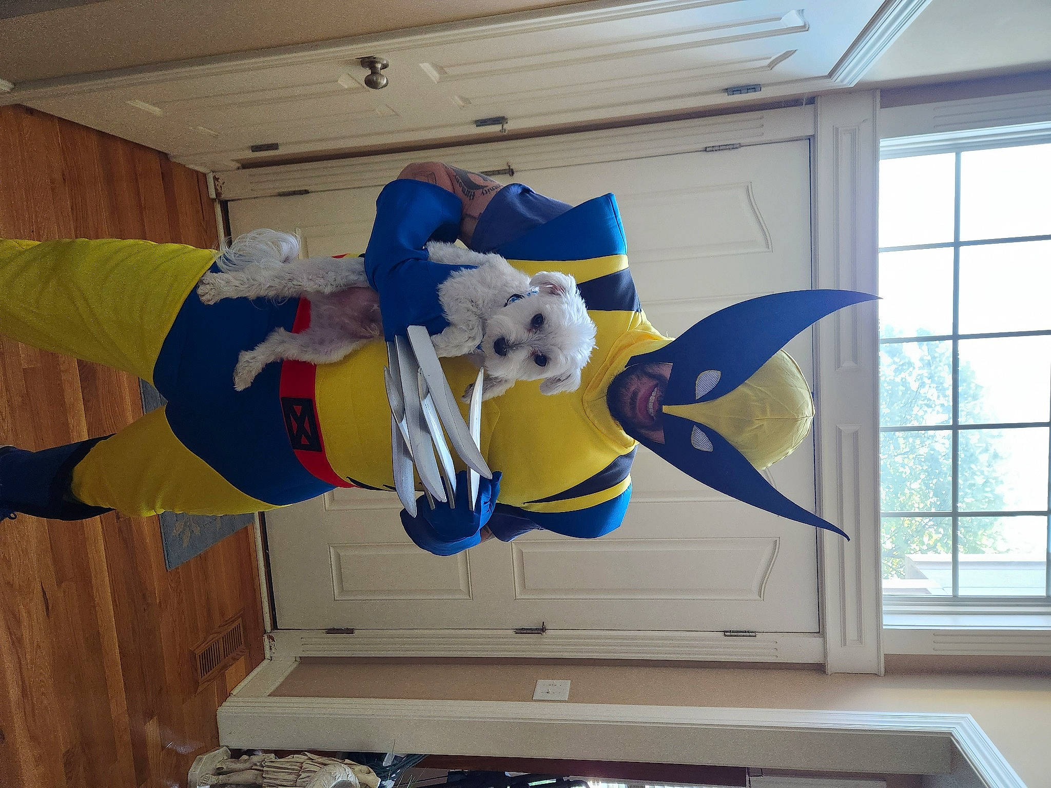 Maverick joined the competition — help win amazing prizes! animation, art, building, ceiling, fictional_character, floor, flooring, hardwood, plaster, room, space, stuffed_toy, toy, visual_arts, window, window_blind, wood