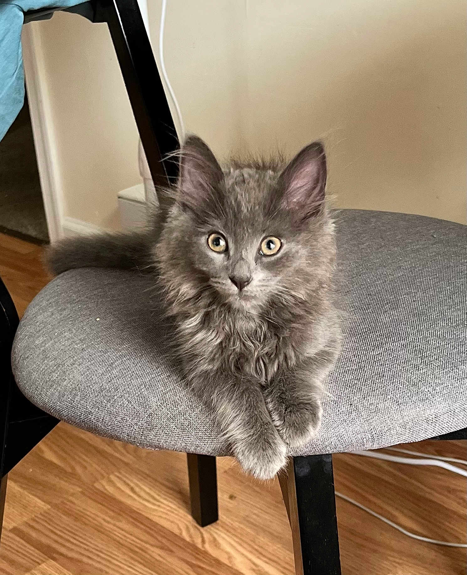 Tobi