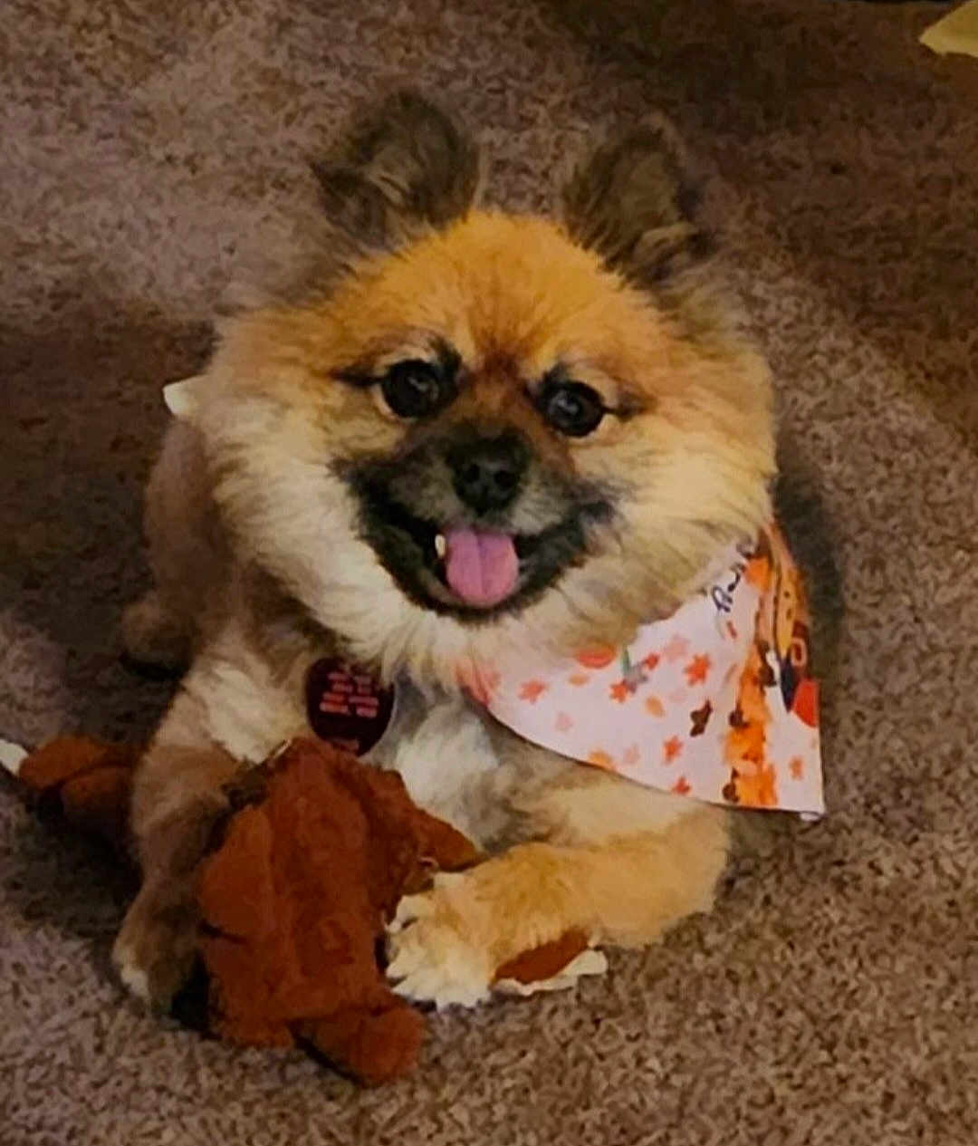 Yoda