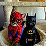 cat, kitten, costume, superhero, spiderman, batman, mask, cape, pet, feline, eyes, fur, plush_bed, cat_tree, indoors, portrait, sitting, cute, pair, costume_photography