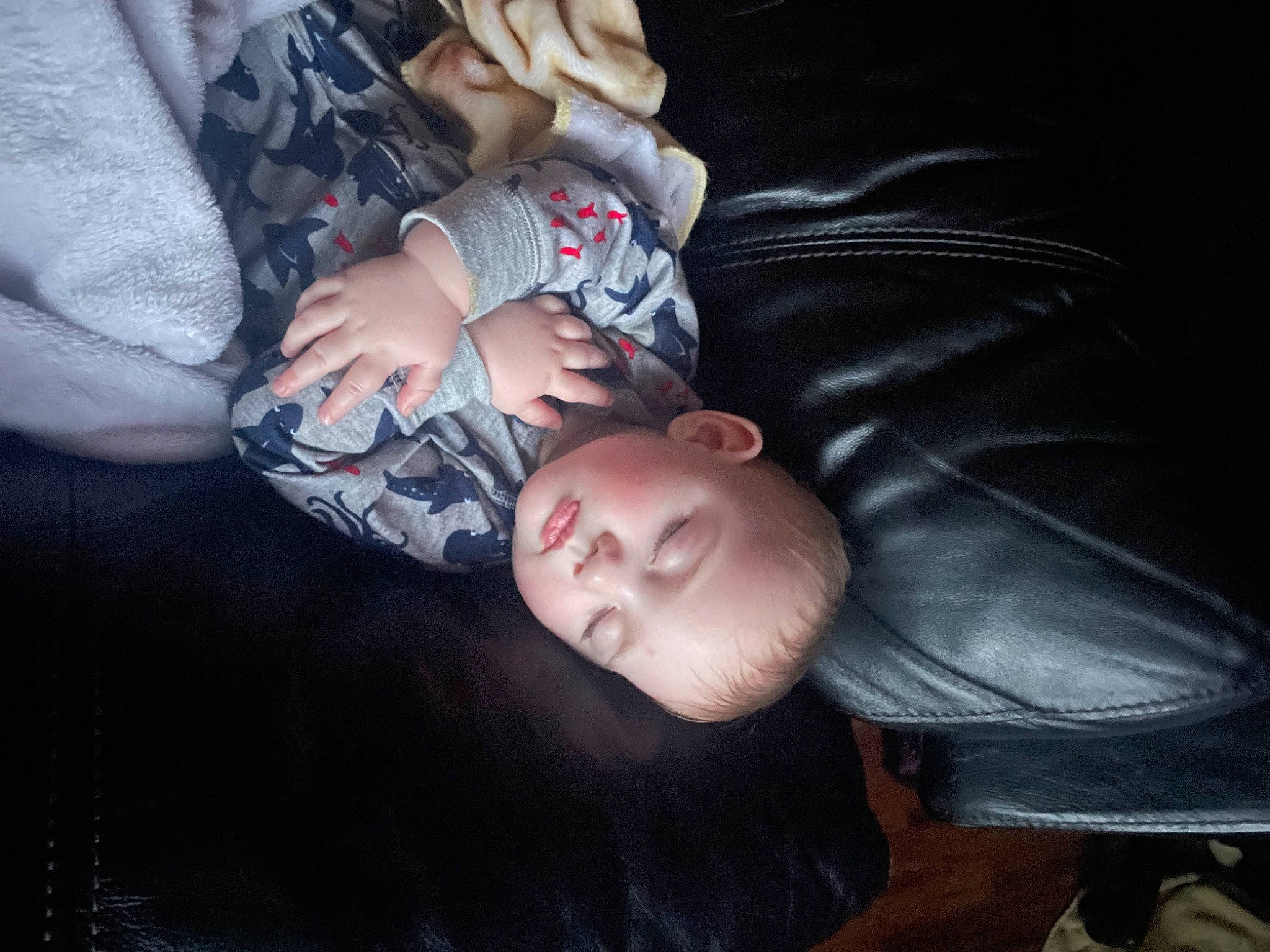 Alice is registered to the contest to win money with this photo: black_hair, child, comfort, darkness, elbow, flash_photography, flesh, fur, gesture, human_leg, nail, person, room, sitting, sleeve, tree