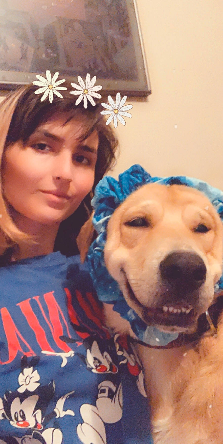 Snoopdog joined the competition — help win amazing prizes! bangs, carnivore, child, companion_dog, cool, dog, dog_breed, eyebrow, eyelash, fawn, flower, fun, happy, hat, headgear, headpiece, long_hair, skin, snout, sporting_group