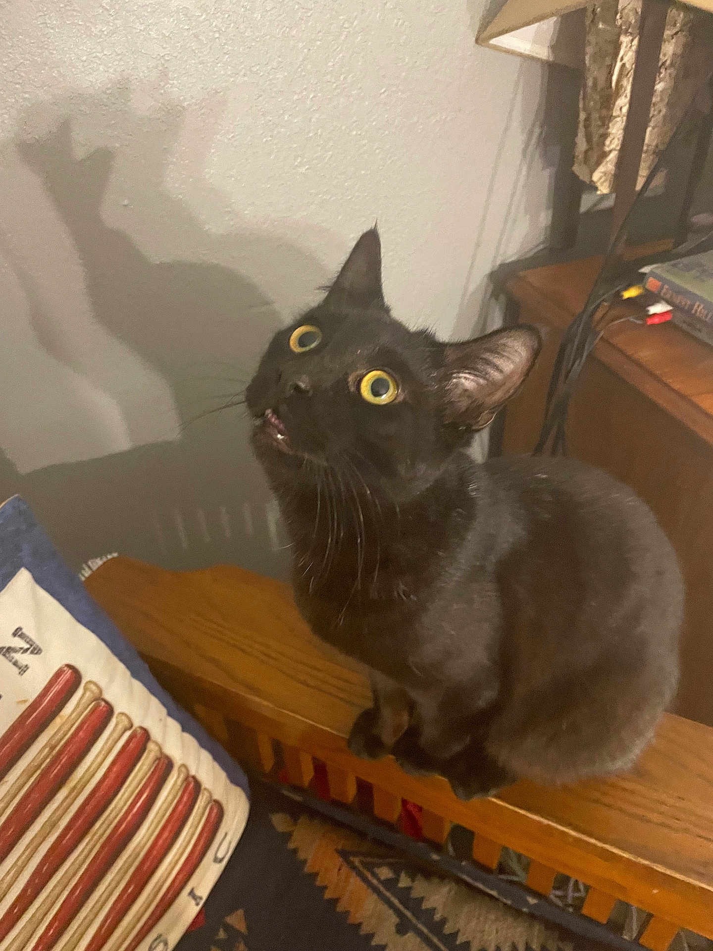 Kicker is registered to the contest to win money with this photo: black_cat, cat, pet, animal, indoor, wooden_furniture, shadow, curious, wide_eyes, whiskers, ears, looking_up, cushion, pillow, decor, lamp, cables, table, floor, patterned_rug