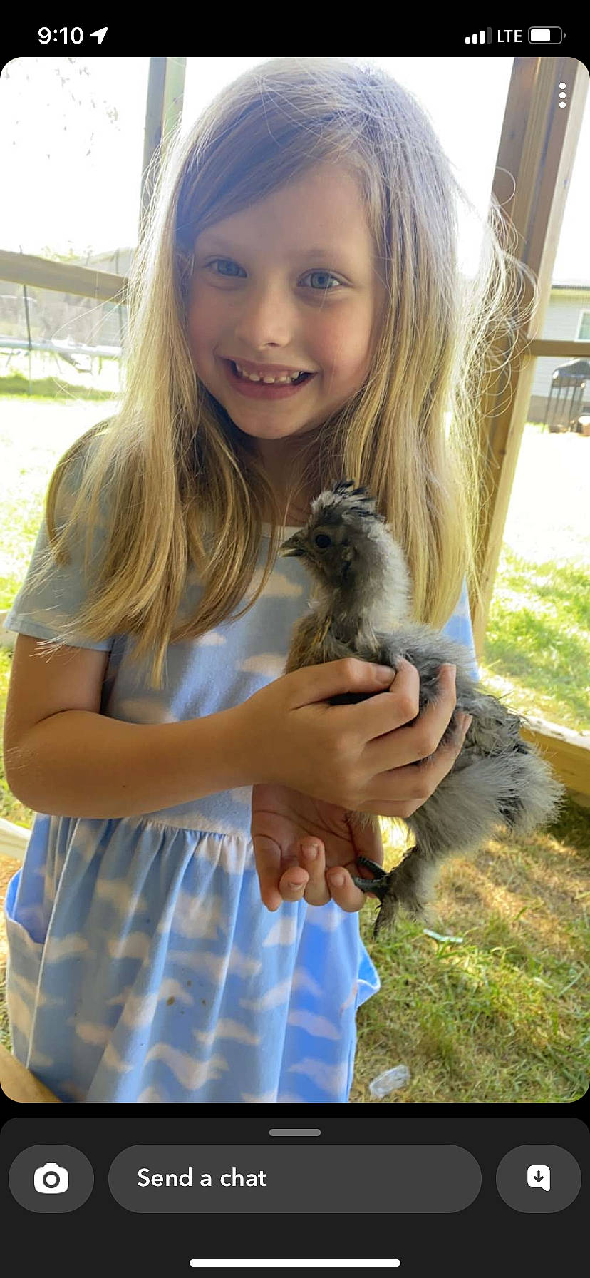 Presley joined the competition — help win amazing prizes! blond, child, fawn, finger, fox_squirrel, grass, grey_squirrel, happy, joy, long_hair, person, plant, reptile, rodent, smile, squirrel, summer, tail, terrestrial_animal, thumb