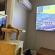 Sir Oliver is registered to the contest to win money with this photo: air_conditioner, cables, cat, cat_tree, floor, furniture, gaming, indoor, orange_cat, pet, reflection, relaxed, room, screen, technology, television, video_game, wall, window, wooden_table