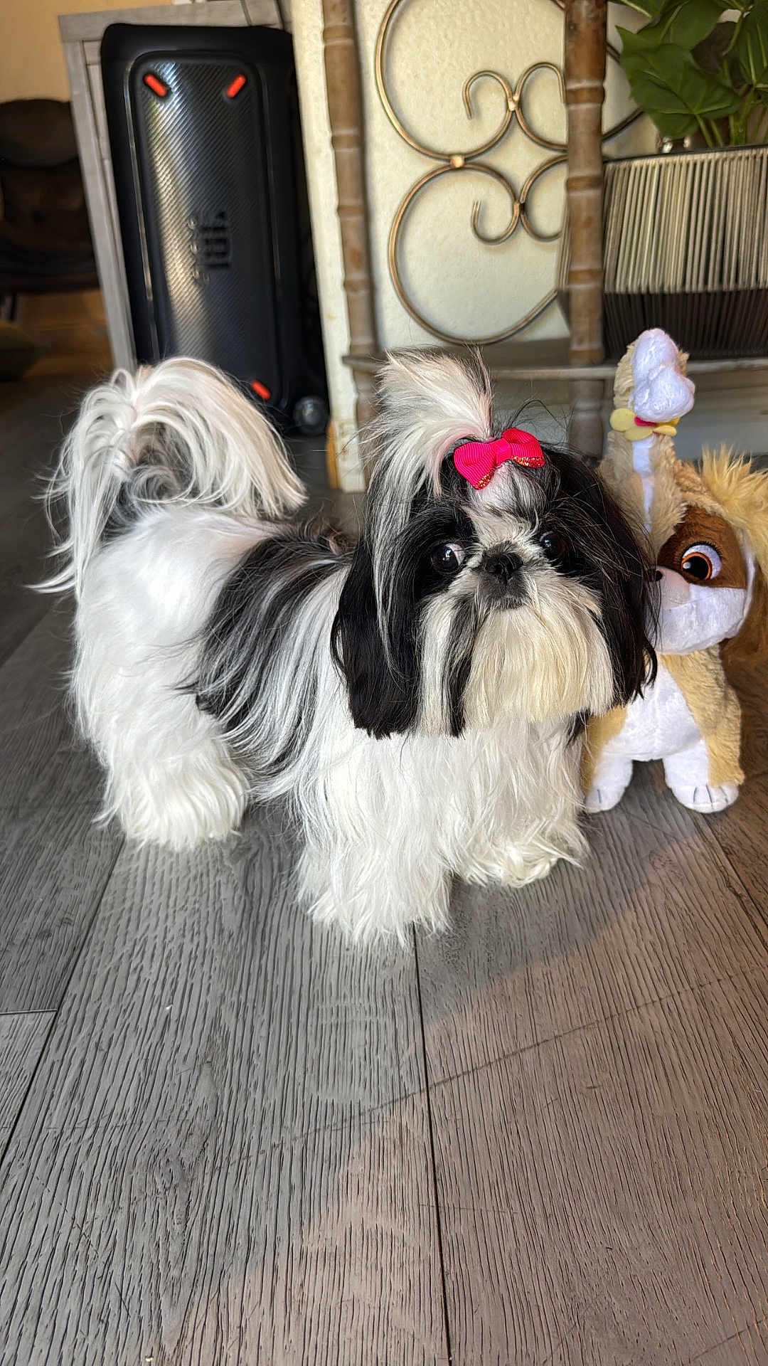 Minnie