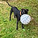 Harry
