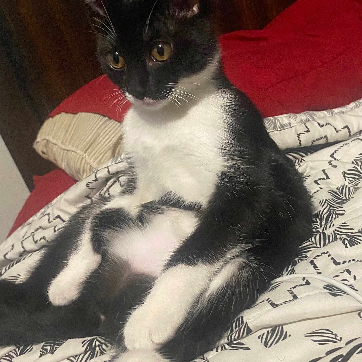 Coco