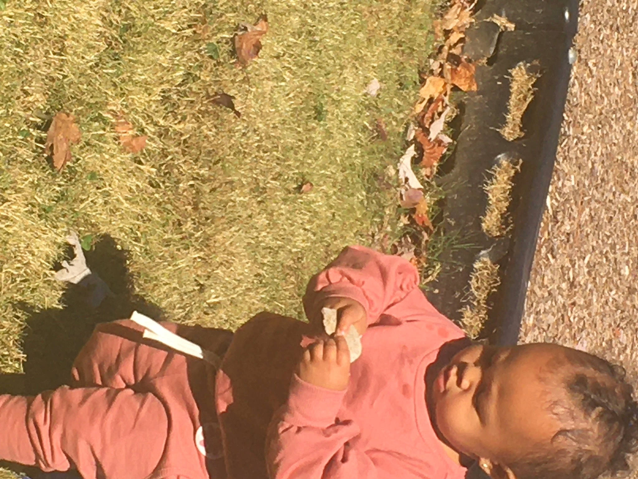 Aayanna joined the competition — help win amazing prizes! adaptation, adventure, child, fun, gesture, grass, hand, happy, landscape, leaf, leisure, organism, people_in_nature, person, photograph, recreation, shadow, soil, tints_and_shades, tree