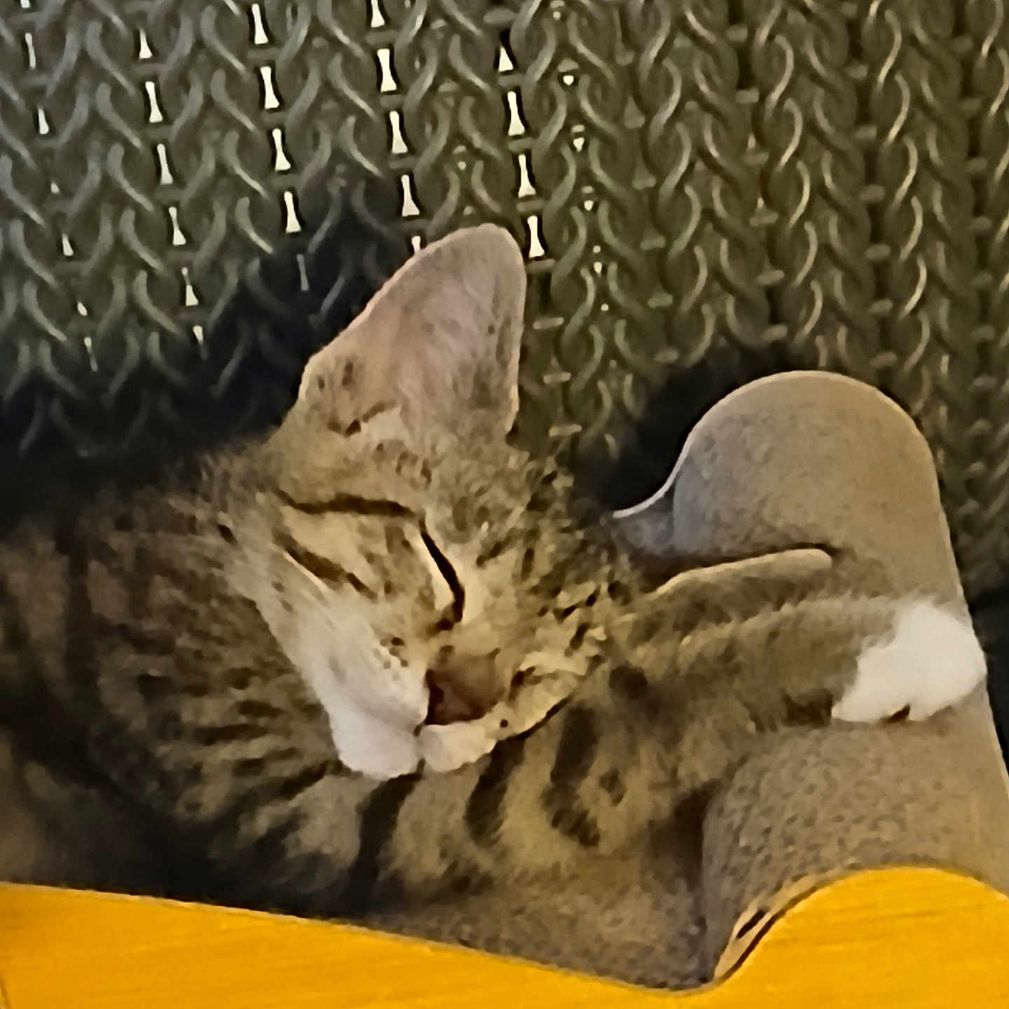 Charley