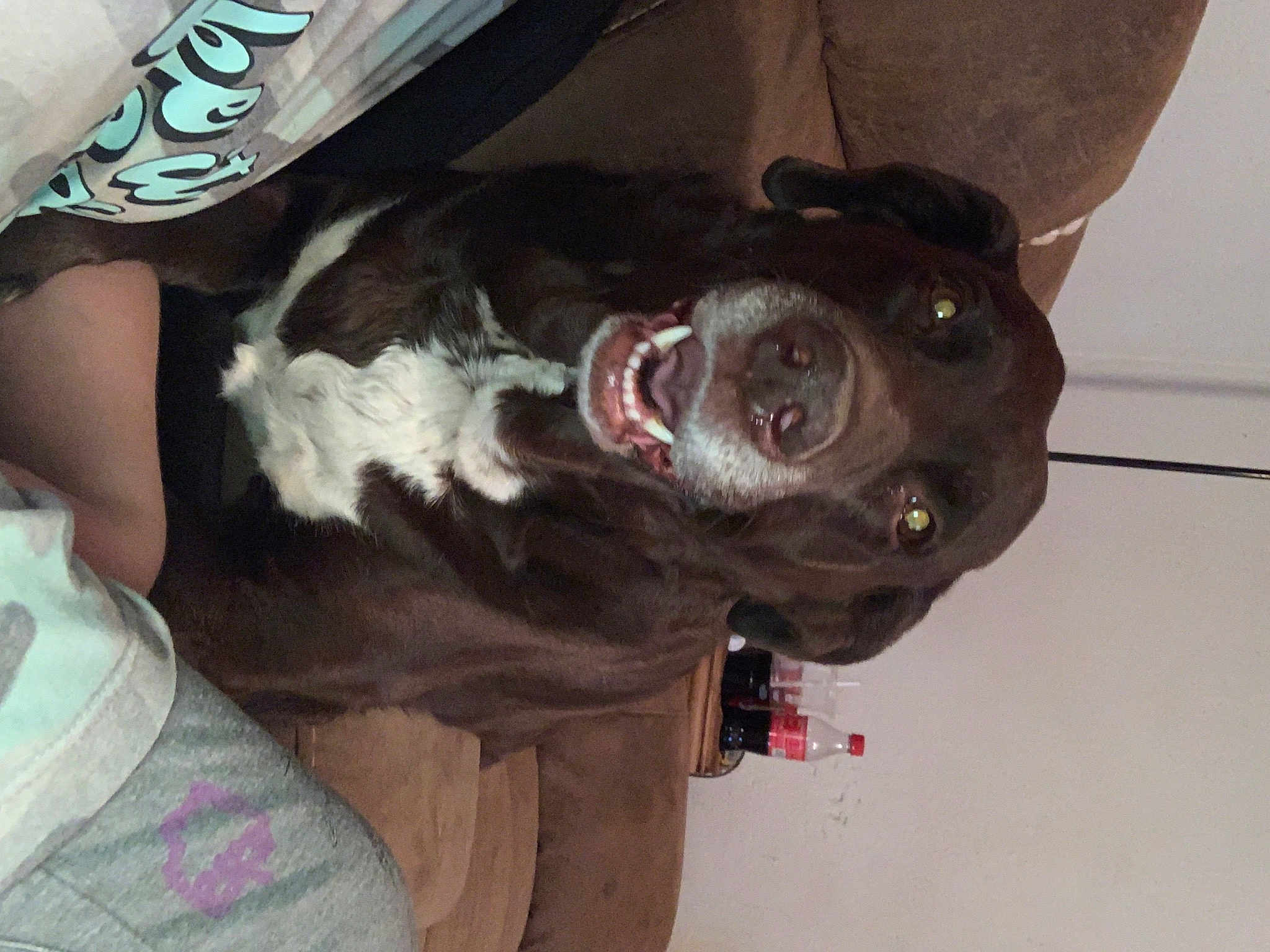 Zoey