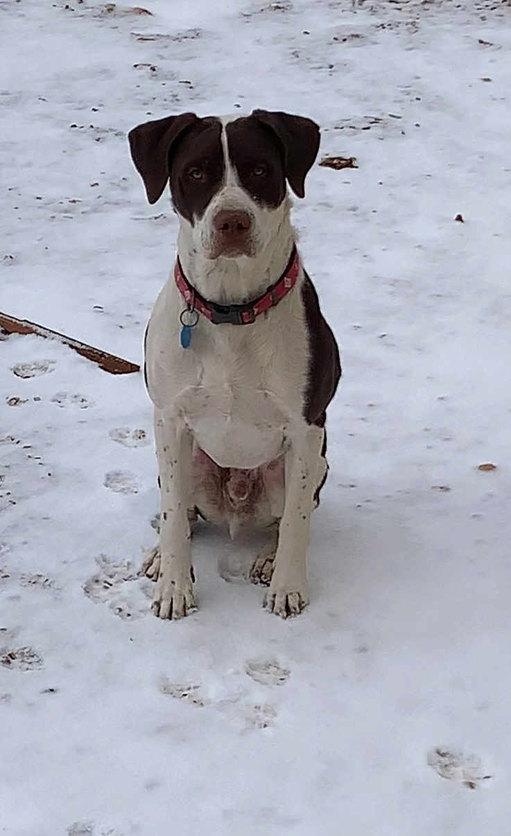Woodrow