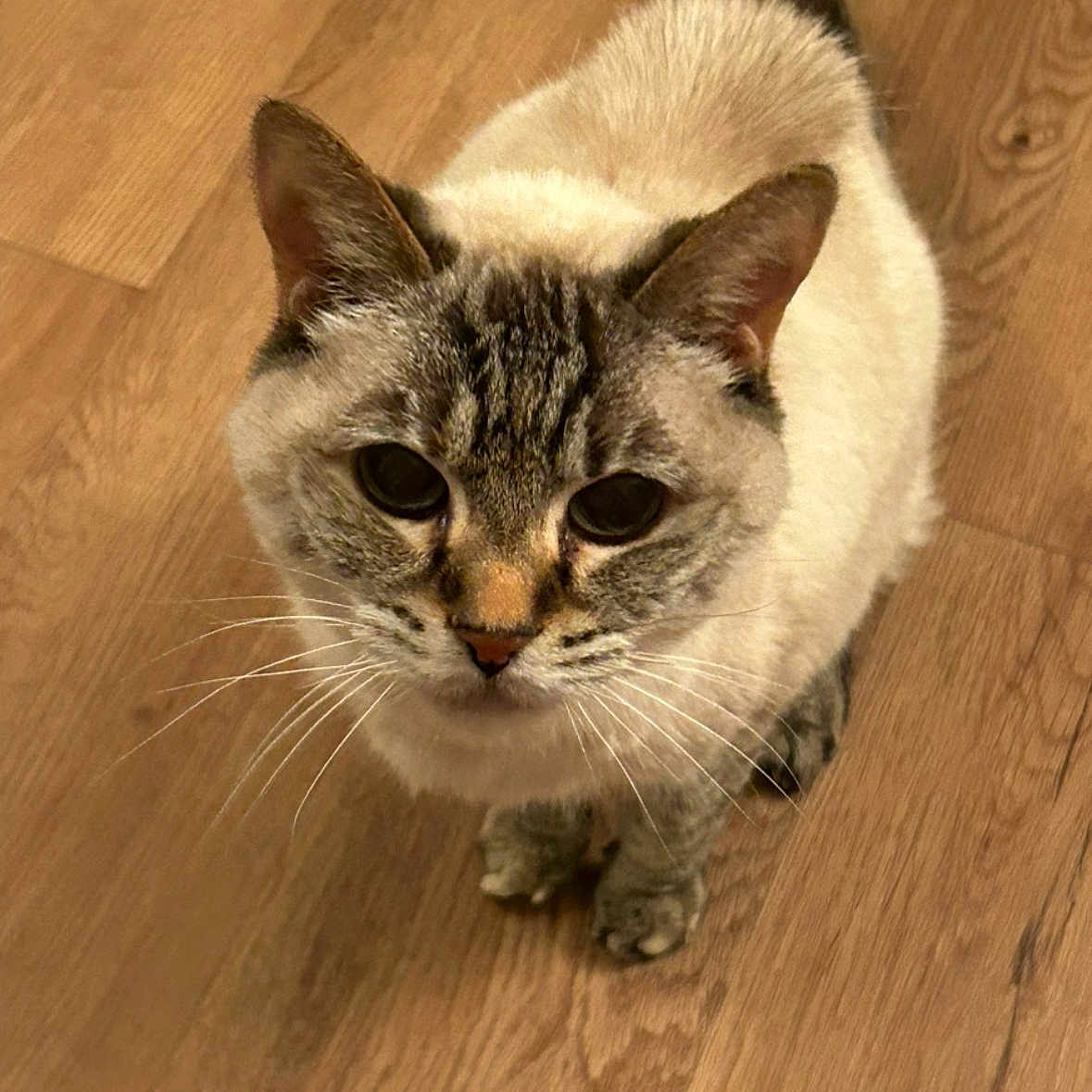 Innya