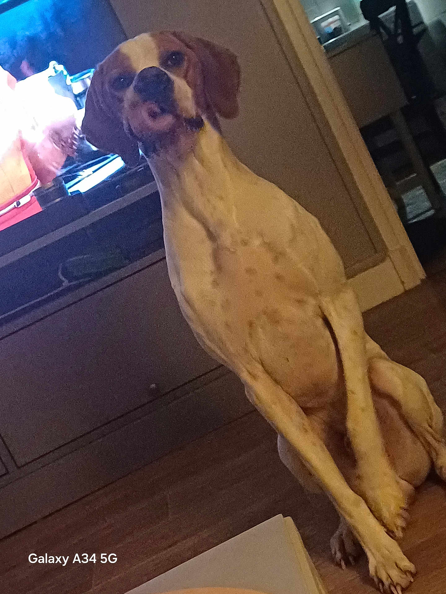 Tino