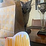 Obi is registered to the contest to win money with this photo: animal, background_blur, brown_cat, candle_holder, cat, curious, decor, domestic_cat, empty_food_container, fries_container, furniture, household, indoor, mcdonalds, paper_bag, pet, soft_lighting, striped_cat, table, wooden_table