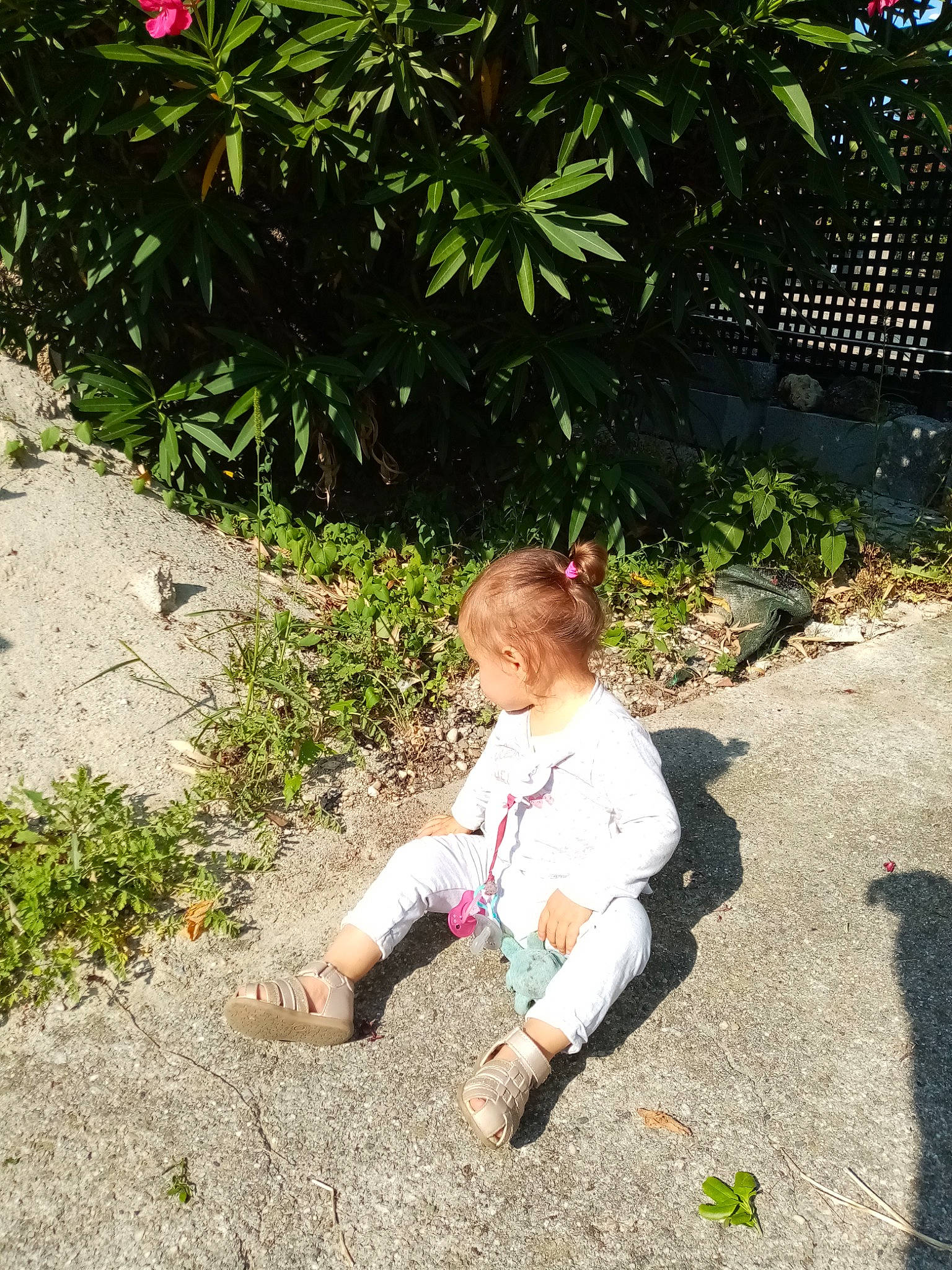 Prudence Bc a rejoint le concours — aidez-le/la à gagner de superbes lots ! asphalt, baby, baby_toddler_clothing, botany, garden, grass, grass_family, leaf, leisure, people_in_nature, person, plant, road_surface, shadow, shrub, sidewalk, sitting, soil, terrestrial_plant, tints_and_shades